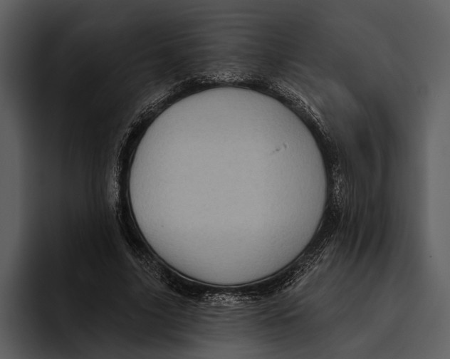 X0000095680635200801291158