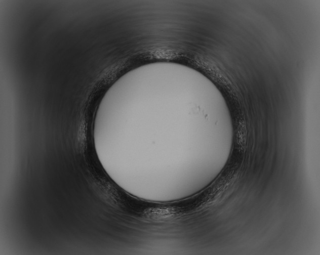 X0000095680639200801291158