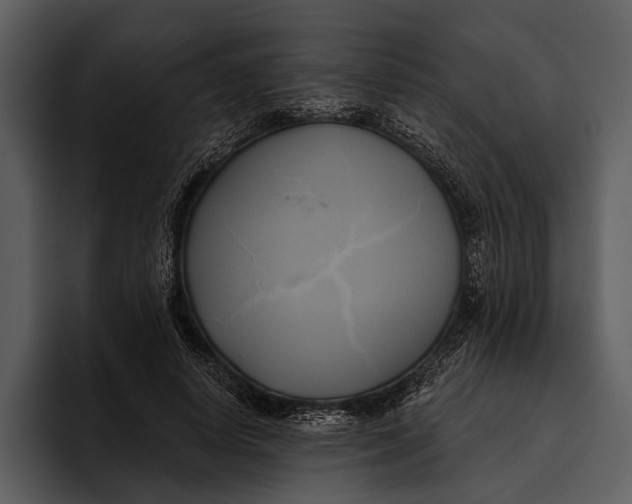 X0000095680642200801291158