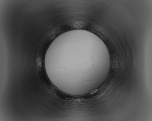 X0000095680646200801291158