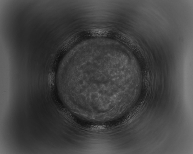 X0000095680649200801291158