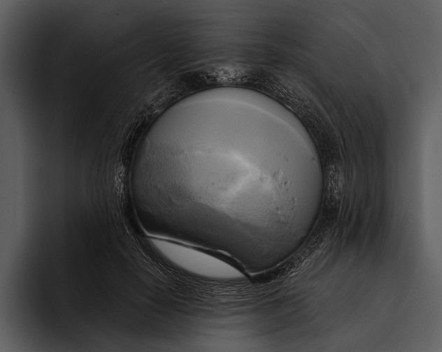 X0000095680650200801291158