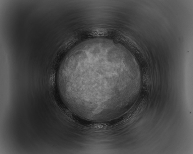 X0000095680652200801291158