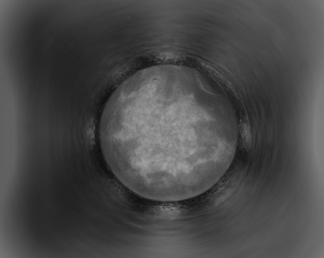 X0000095680668200801291158