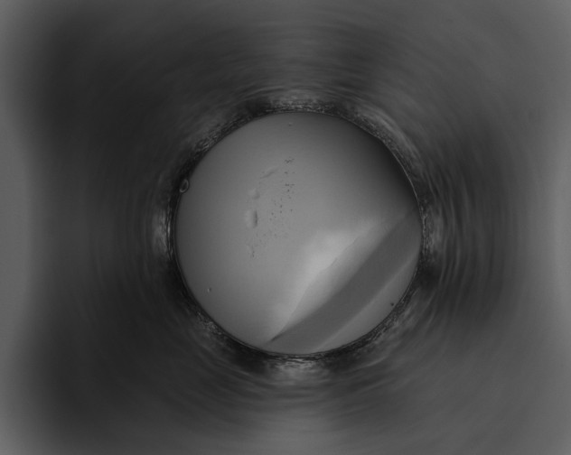 X0000095680669200801291158