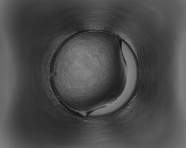 X0000095680673200801291157