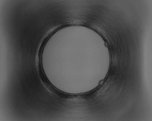 X0000095680674200801291157