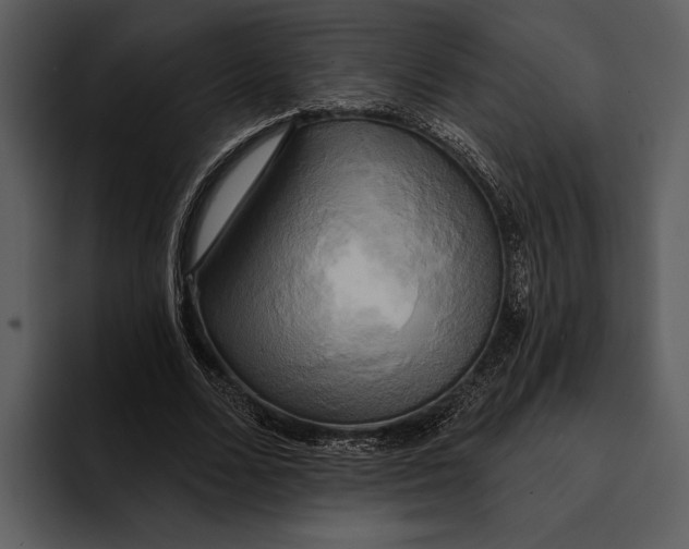 X0000095680680200801291157