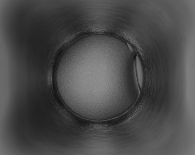 X0000095680681200801291157