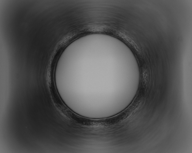 X0000095680682200801291157