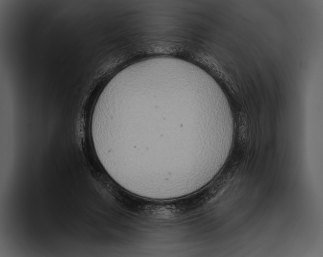 X0000095680683200801291157