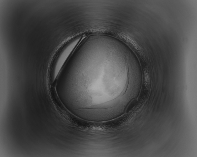 X0000095680684200801291157