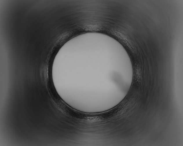 X0000095680686200801291157