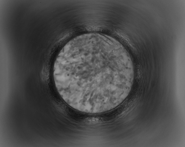 X0000095680687200801291157