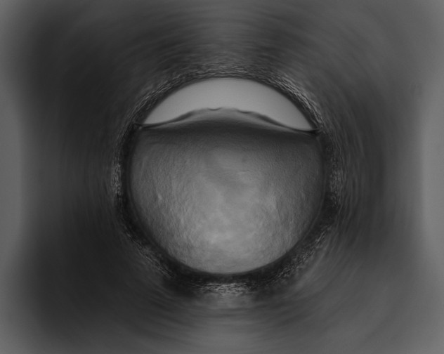 X0000095680689200801291157