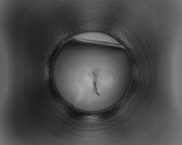 X0000095680692200801291157