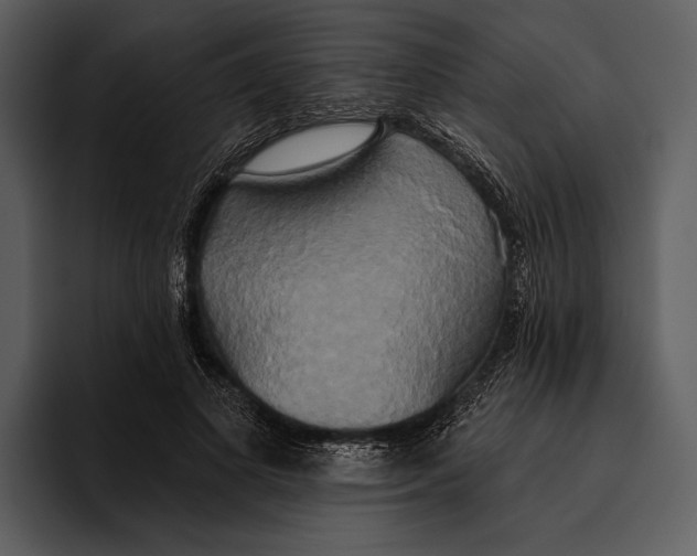 X0000095680693200801291157