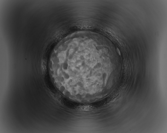 X0000095680695200801291157