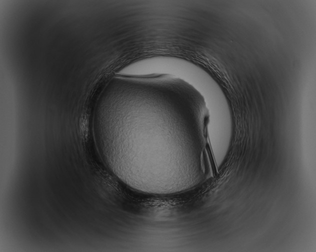 X0000095680697200801291157