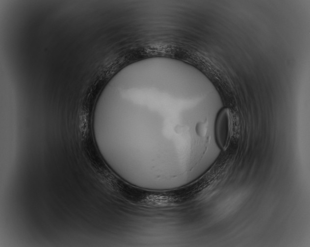 X0000095680699200801291157