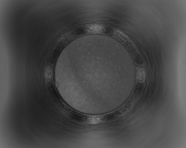 X0000095680701200801291157