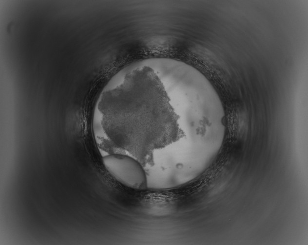 X0000095680703200801291157