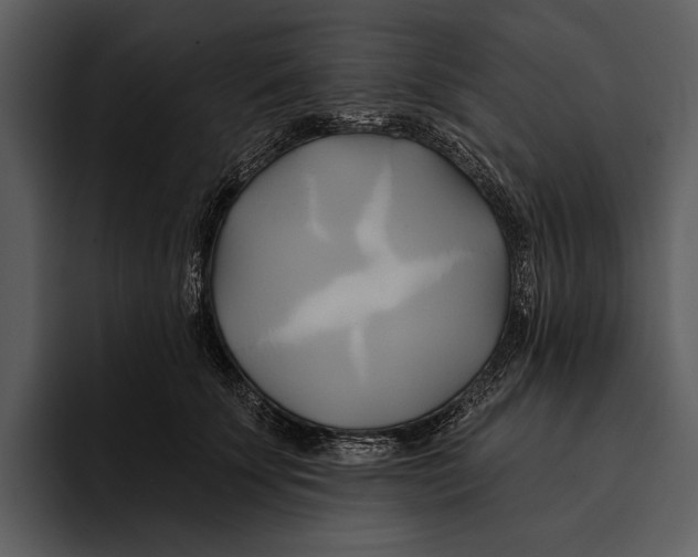 X0000095680707200801291157