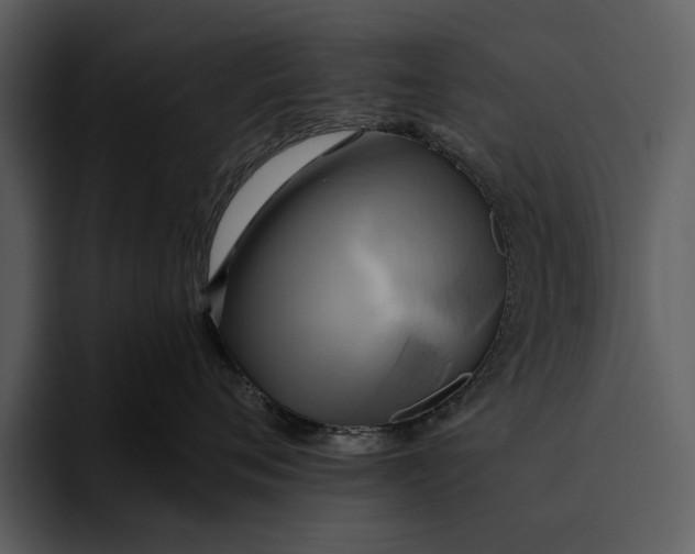 X0000095680720200801291157