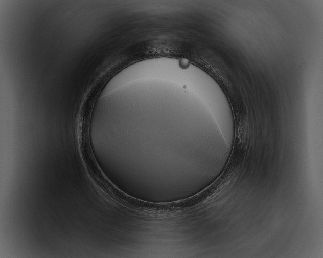 X0000095680722200801291156