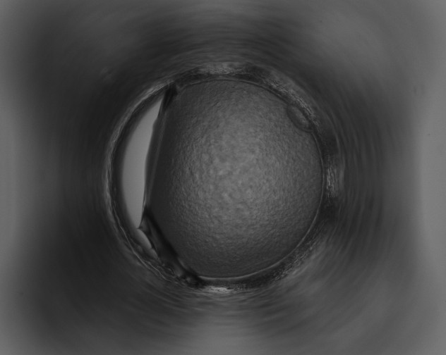 X0000095680724200801291156