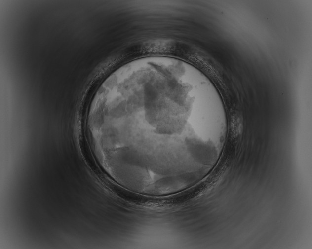 X0000095680725200801291156