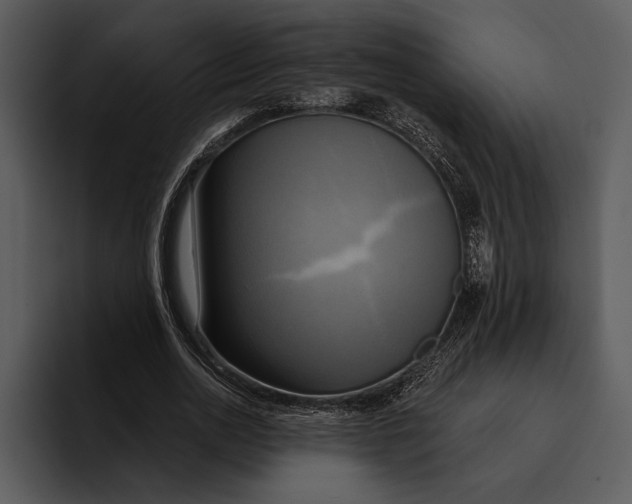 X0000095680726200801291156