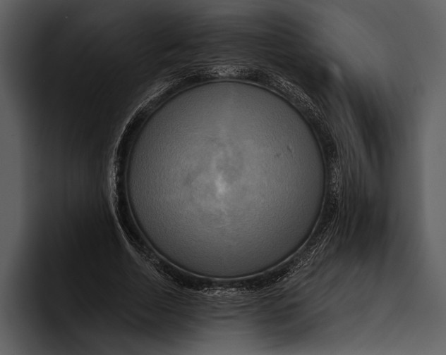 X0000095680730200801291156