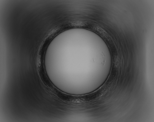 X0000095680731200801291156