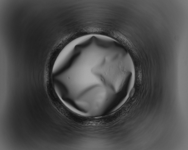 X0000095680732200801291156