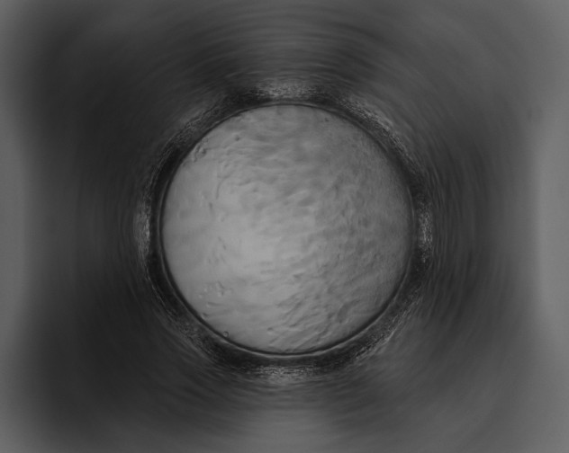 X0000095680733200801291156