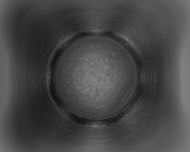 X0000095680736200801291156