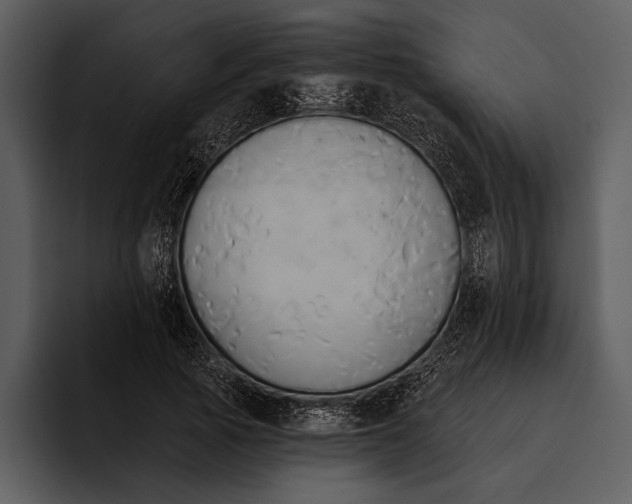 X0000095680737200801291156