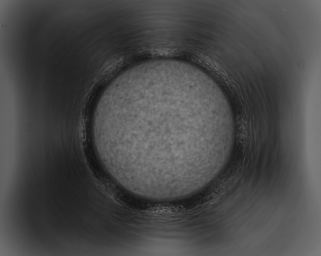 X0000095680738200801291156