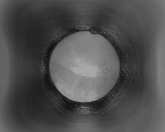 X0000095680743200801291156