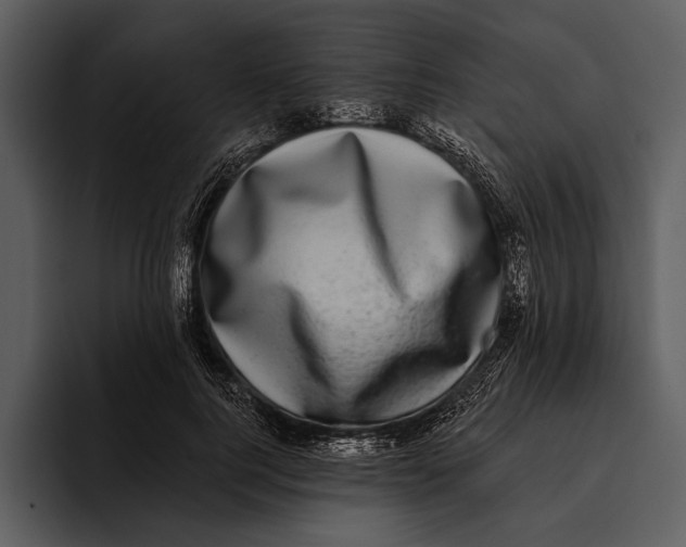 X0000095680744200801291156