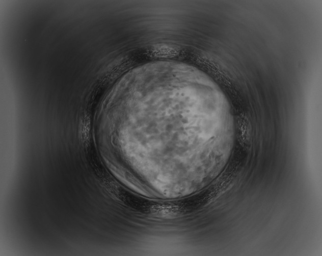 X0000095680745200801291156