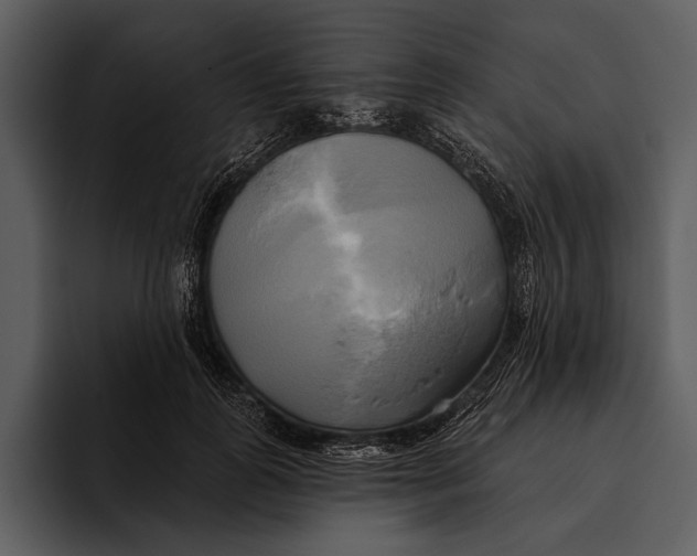 X0000095680747200801291156