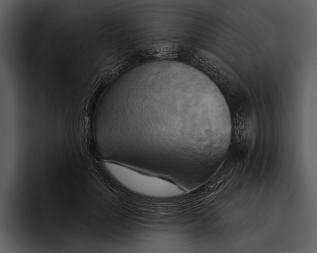 X0000095680748200801291156