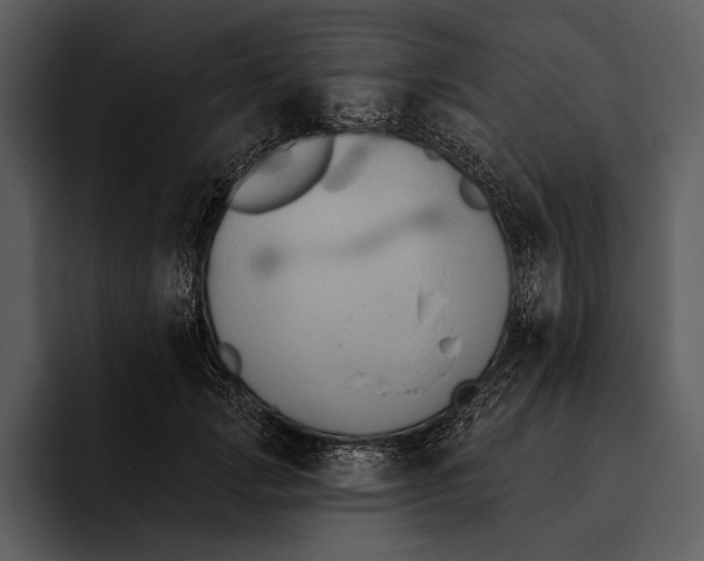 X0000095680749200801291156