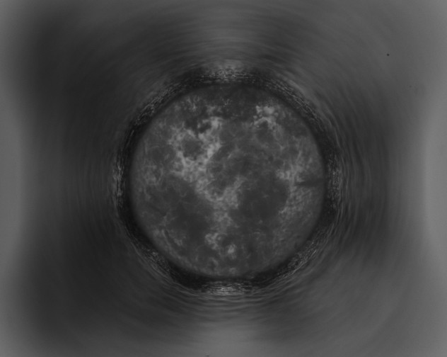 X0000095680750200801291156