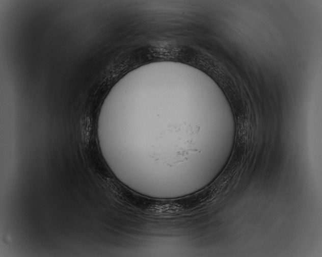 X0000095680752200801291156