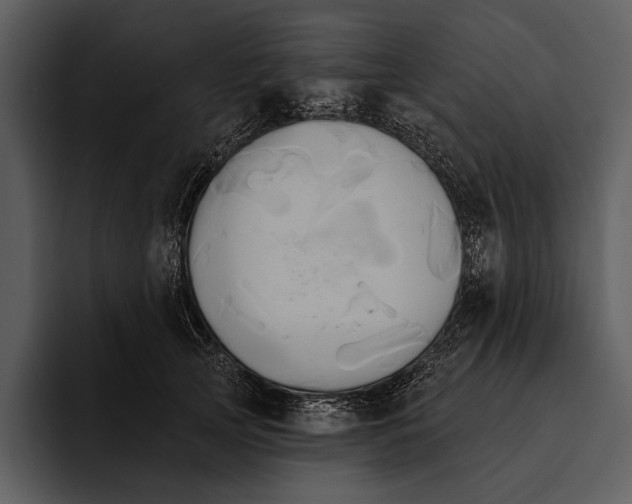 X0000095680753200801291156