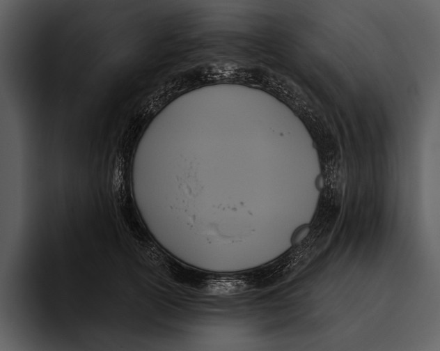 X0000095680754200801291156