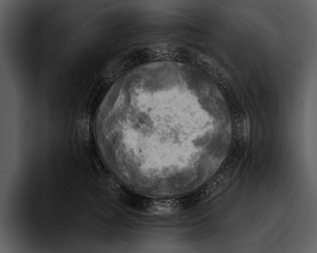 X0000095680757200801291156